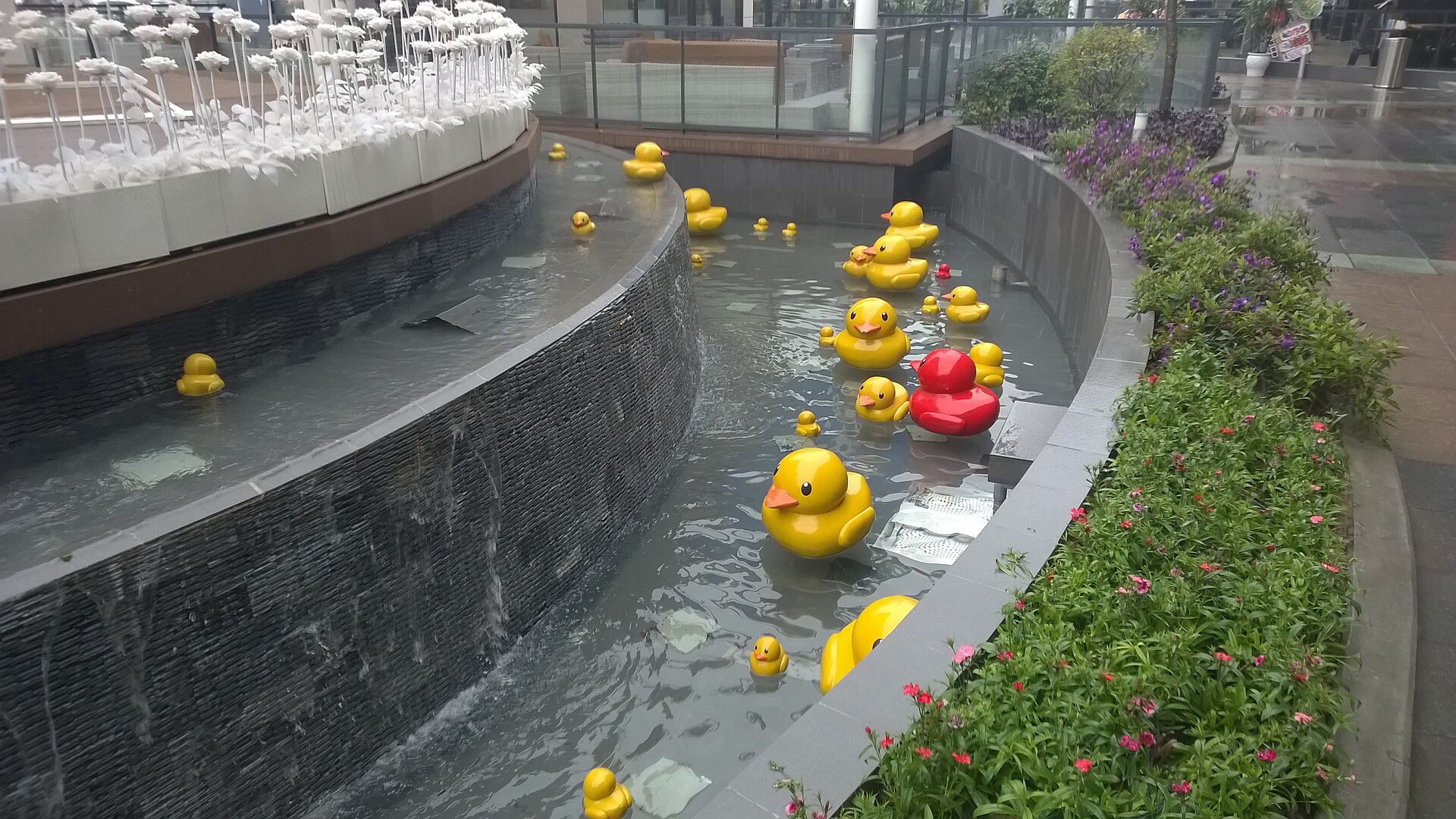 An image of rubber ducks by Vuong Tri Binh